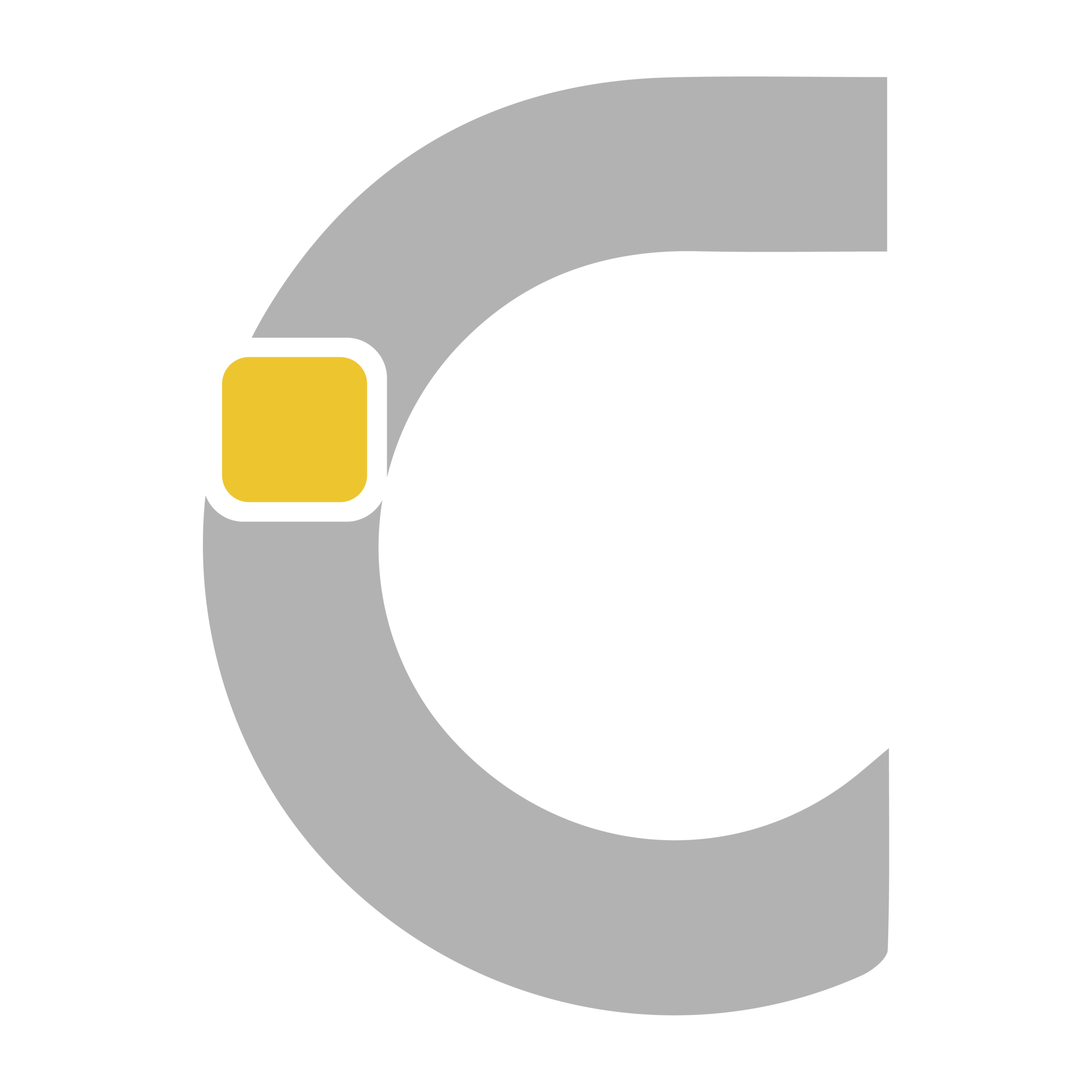 C Tech Consulting