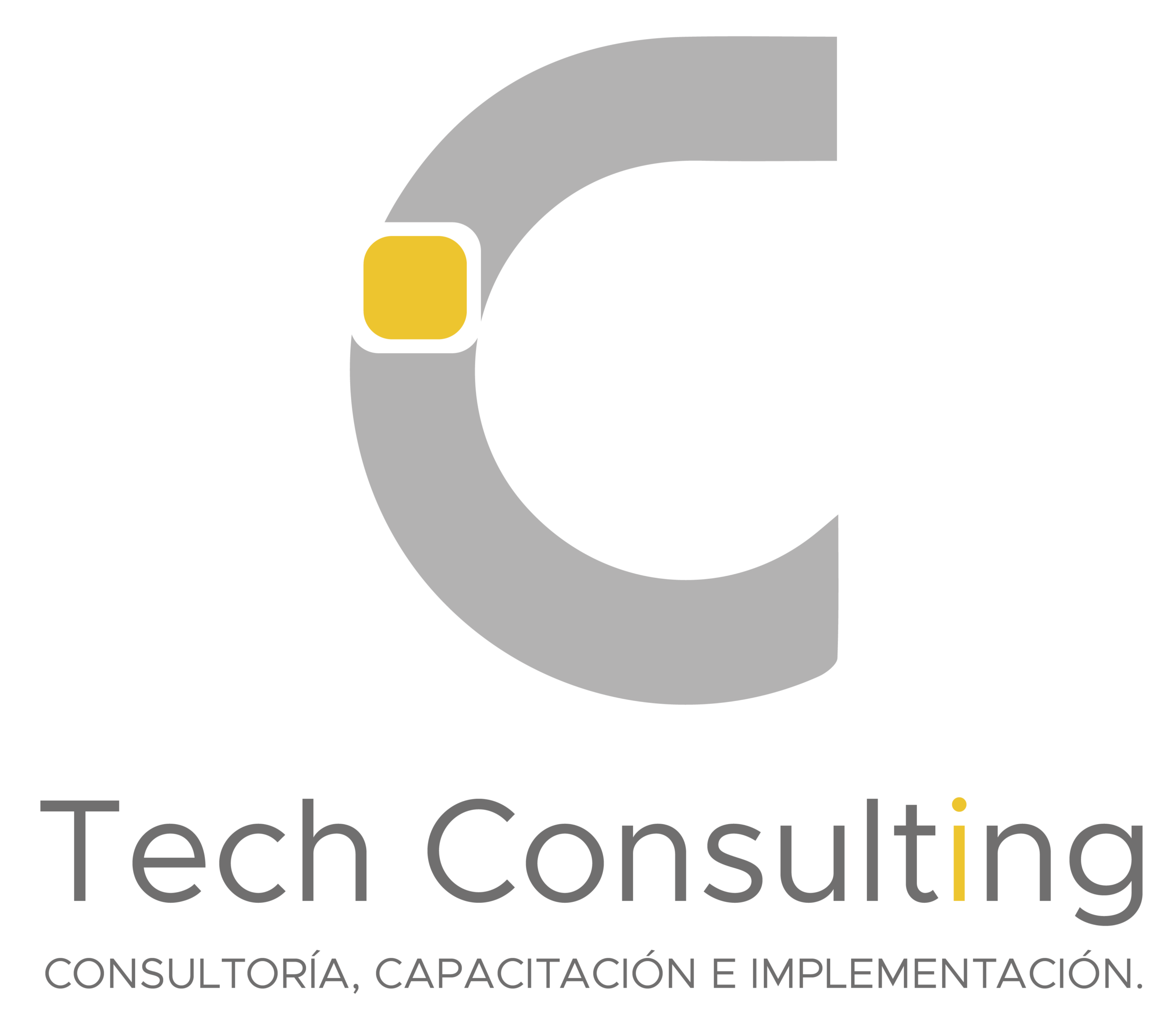 C Tech Consulting